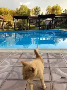 Lago-Naki Resort - 28