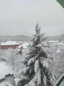 Rus Health Resort - 41