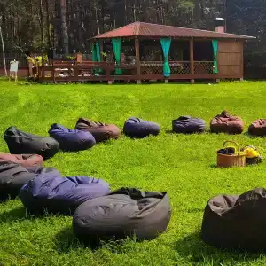 Guest house Lesnoy Edem - 31