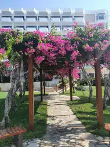 Alion Beach - 2