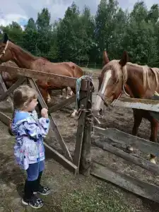 Belaya loshad Tourist base - 14