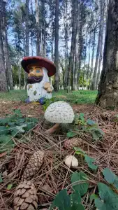 Sanatorii Lesnoi - 31