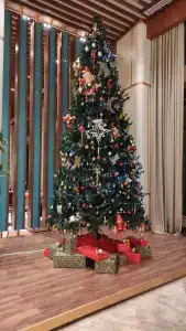 Seaden Quality Resort & Spa Ultra All Inclusive - 20