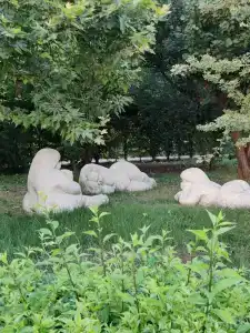 Planeta Sanatorium - 42