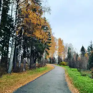 Парк-отель "Прибрежный Ярбург" - 68