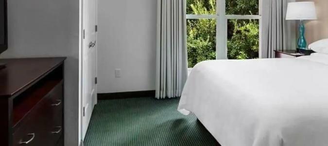 Embassy Suites by Hilton Orlando Lake Buena Vista Resort - 51