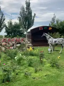 Гостиничный комплекс Джами - 11