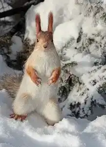 Dom Otdykha Elochki Sanatorium - 69