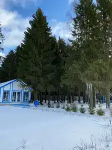 Park-Torbeevo Ozero - 21