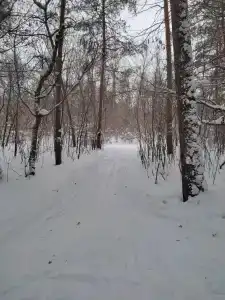 Sanatoriy-Profilaktory Olkhovka - 49