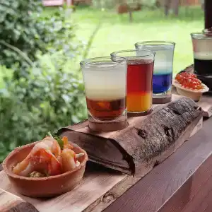 Guest house Lesnoy Edem - 93