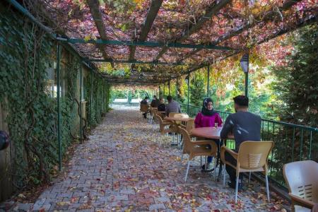 Basaranlar Thermal - 2