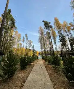 Neptun Tourist base - 22