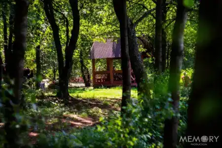 Guest house Lesnoy Edem - 36