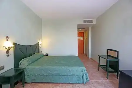 Kaktus Kaktus Albir - 53