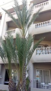 Royal Thalassa Monastir - 40