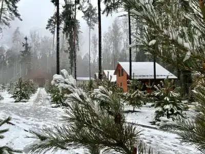 Neptun Tourist base - 3