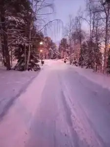 Baza Otdyha Lesnaya - 100