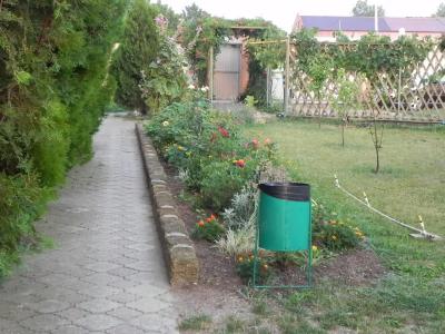 Fanni Veronika - 29