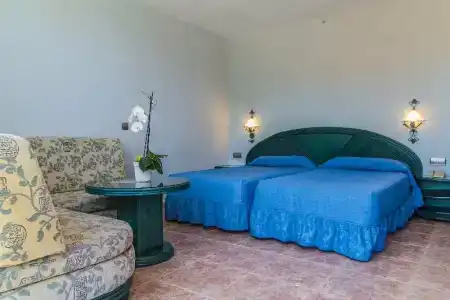 Kaktus Kaktus Albir - 72