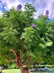 Tui Blue Grand Azur - 97