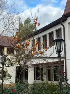 АНДАЛУСИЯ - 32