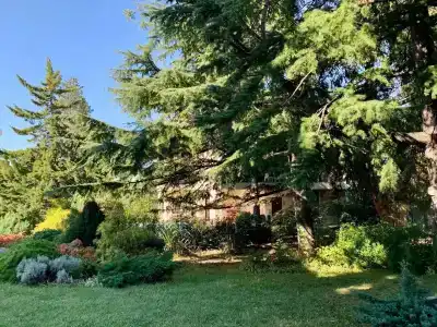 Arfa Park-hotel - 17