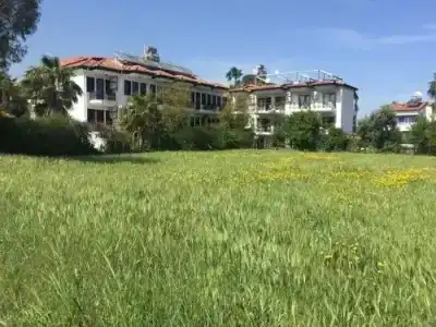 Amore Teki̇Rova - 14