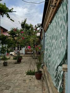 ANTICA Family Guest House - 10