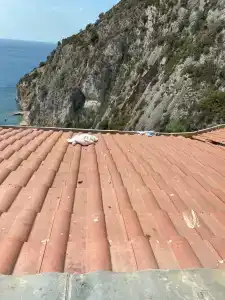 Ladonias Adakule	 - 52