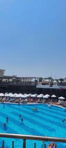 Dream World Hill - 7