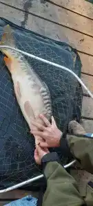 Ulovo Recreation Center - 30