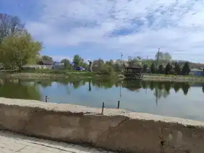 Zolotaya Rybka Resort - 88