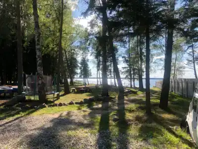 Volkovskiy ruchey - 81
