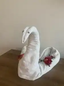 Serenade Punta Cana Beach & Spa Resort - 54