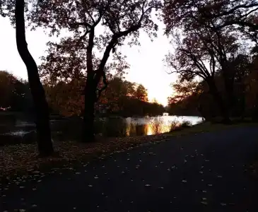 Trudovye rezervy - 15