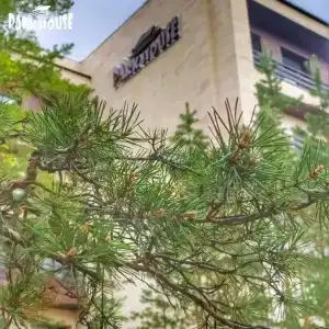 Parkhouse Kokshetau - 10