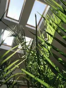 Provans Boutique - 22