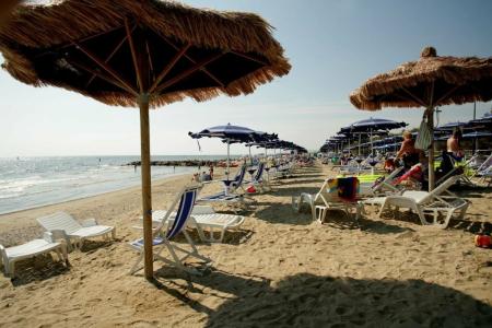 Club del Sole Stork Family Collection - 11