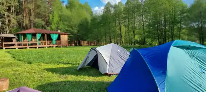 Guest house Lesnoy Edem - 71