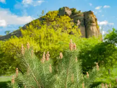 Park-Otel Kanyon Recreation camp - 37