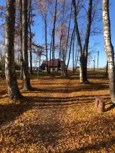 Baza Berezka - 1