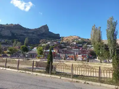 Белые журавли - 50