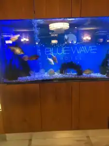 Blue Wave Suite - All Inclusive - 21