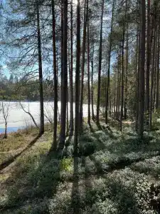 Kanda-Viking Tourist base - 41