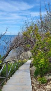 Pansionat Vyisokij Bereg - 15