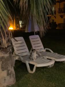 Club Marco Polo - Premium All Inclusive - 45