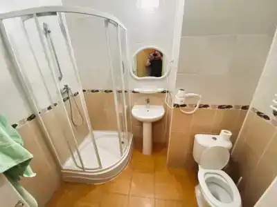 Belovezhskaya pushcha №2 - 30