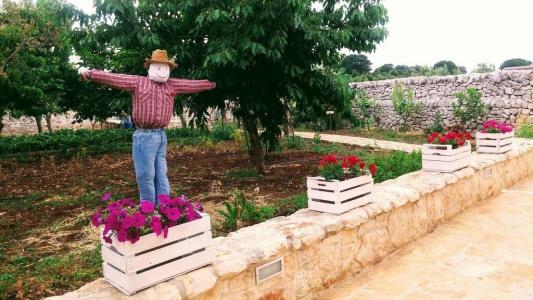Masseria Peppeturro - 6