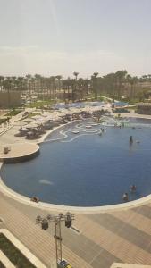 Beach Albatros Resort - 66